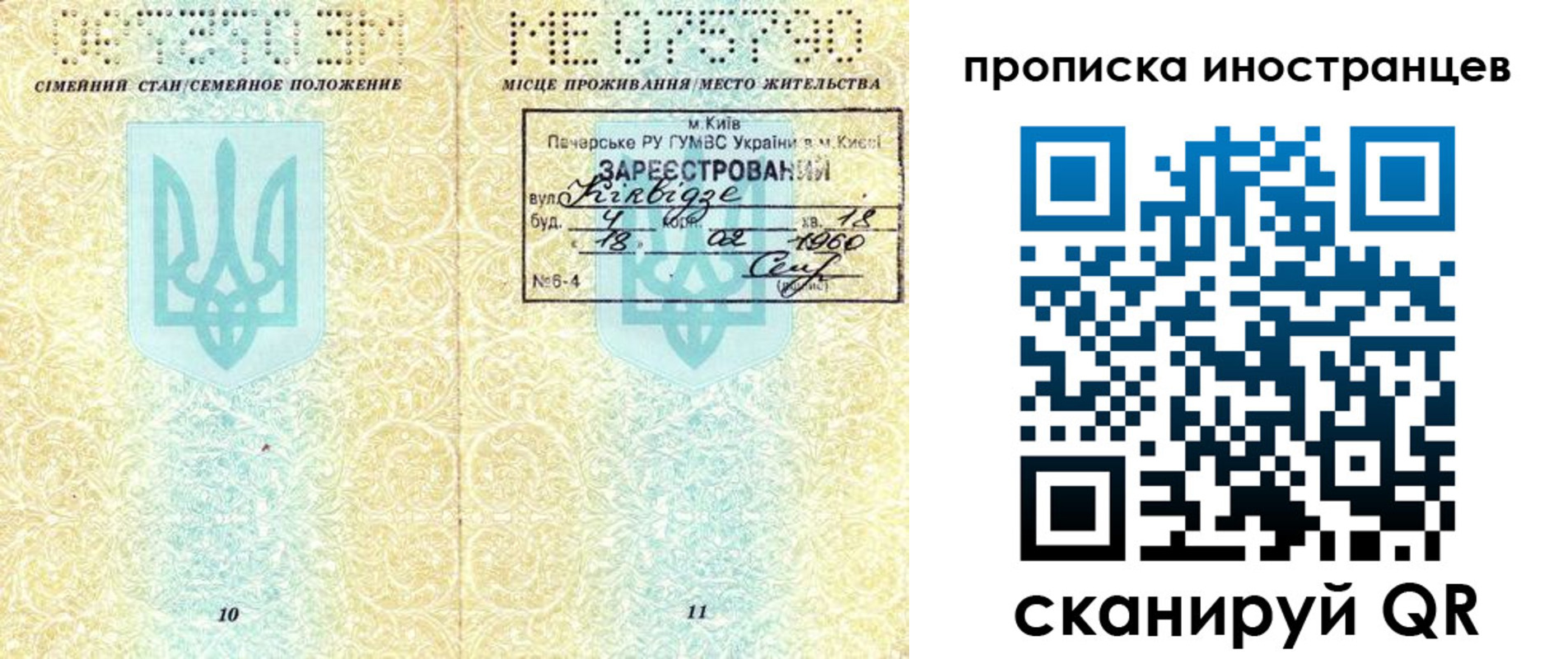 купить прописку в Вельске